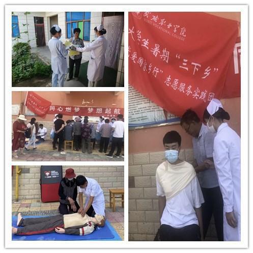 动物拼一拼